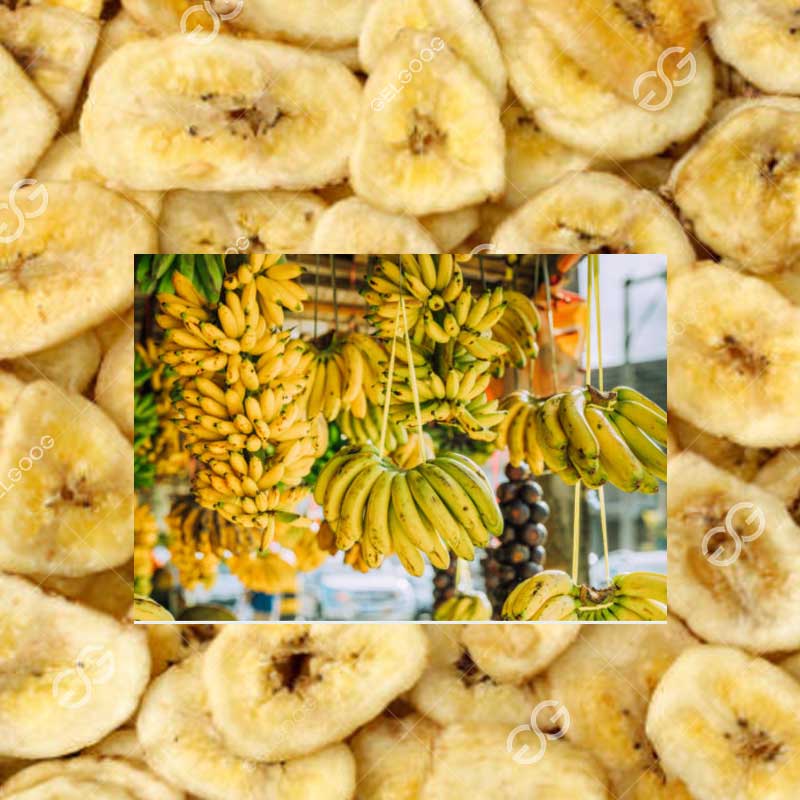 Commercial Banana Chips Business Plan Philippines