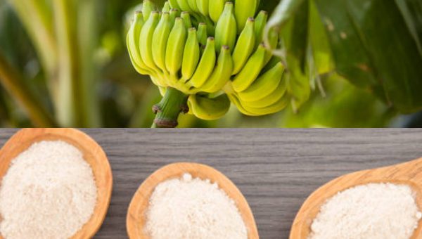 Is Plantain Flour Production Profitable?