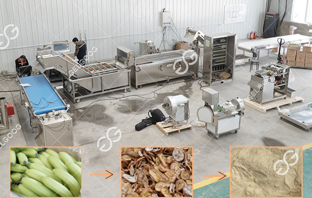 plantain flour process line