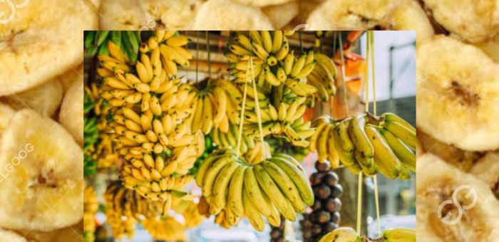 Commercial Banana Chips Business Plan Philippines