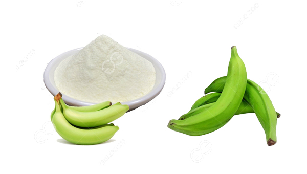banana powder business plan