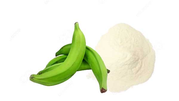 How Do They Process Bananas into Flour?