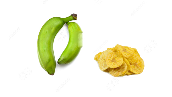 plantain chips business