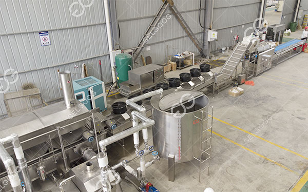 plantain flakes making machine