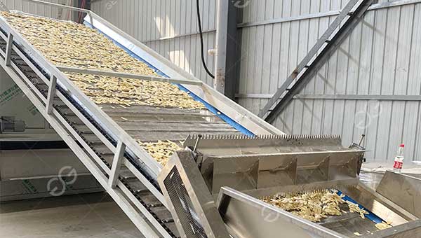banana powder machine