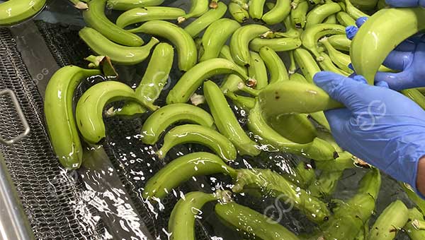 plantain blanching machine