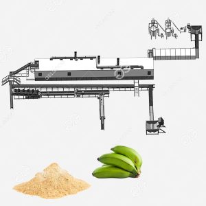 plantain flour processing plant