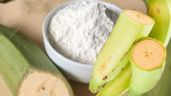 banana flour machine in philippines