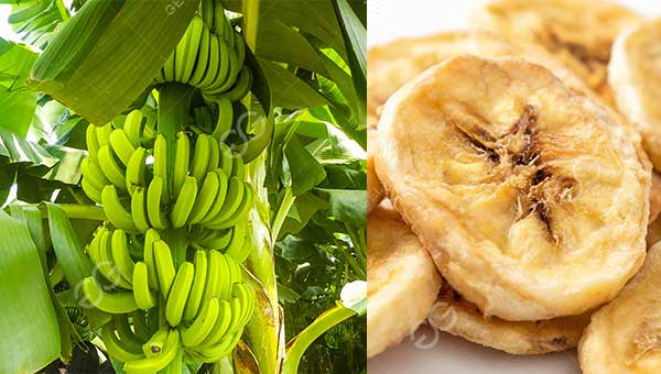 plantain chips